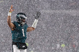 Flying High: How the Eagles Soared to the Championship